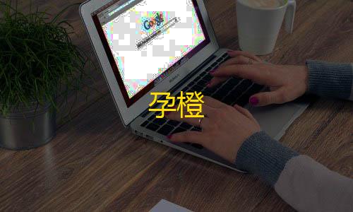 暗区突围护航接单平台孕橙